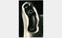 Φωτογραφία 6
