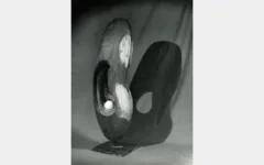 Φωτογραφία 7