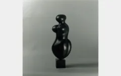 Φωτογραφία 7