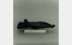 Φωτογραφία 17