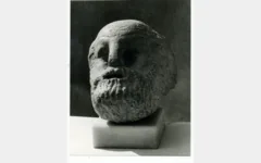 Φωτογραφία 7